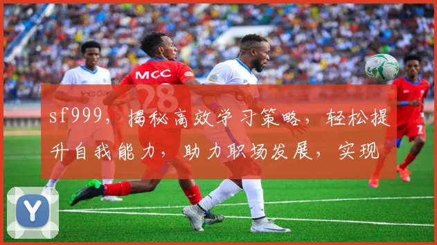 sf999，揭秘高效学习策略，轻松提升自我能力，助力职场发展，实现人生价值。