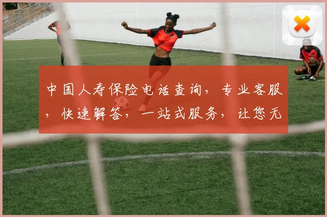 中国人寿保险电话查询，专业客服，快速解答，一站式服务，让您无忧选择