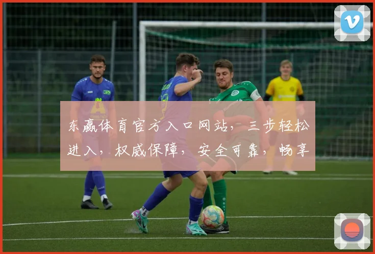 东赢体育官方入口网站，三步轻松进入，权威保障，安全可靠，畅享体育盛宴